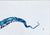 Poster 50x70 blauer Krakenarm