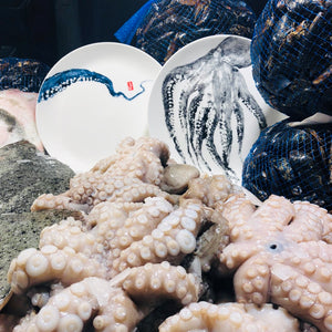 große Platte blauer Oktopus ein Tentakel